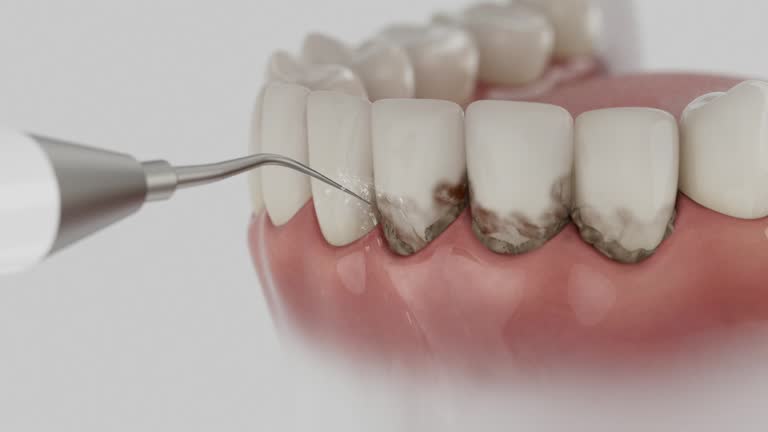 Trusted Emergency Dentist service in Roman Forest, TX - Dentist Open Now